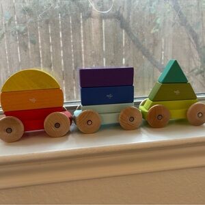 Tegu rainbow wooden/magnetic train